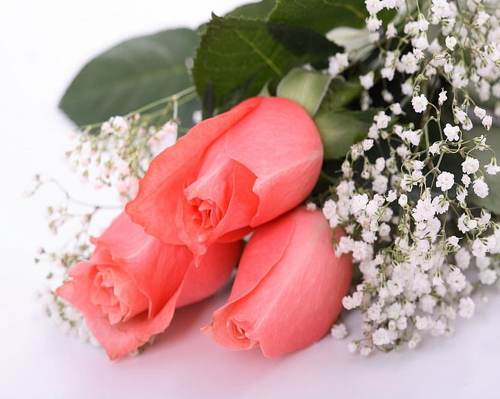 розови рози и бели цветя на бебешки дъх, рози, цветя, букет, гипсофила, нежност, HD тапет