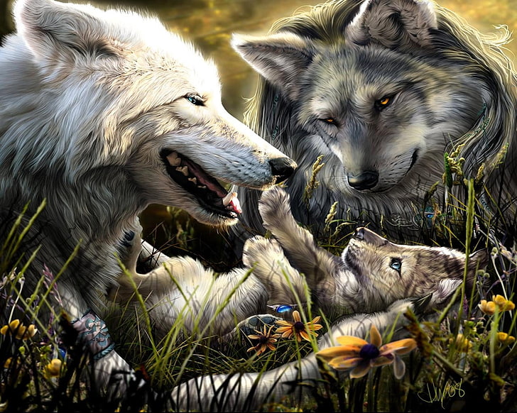 deux loups noir et blanc fond d'écran, loups, famille, naissance, amour, kid, Fond d'écran HD
