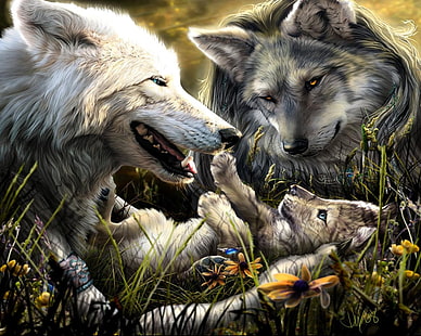 carta da parati due lupi bianchi e neri, lupi, famiglia, nascita, amore, bambino, Sfondo HD HD wallpaper