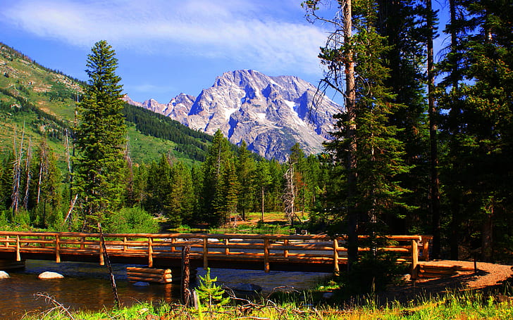 Landscape Nature Wooden Bridge Mountain River, Pine Trees, Rocky Mountains With Snow Desktop Wallpaper Hd Free Download, HD wallpaper