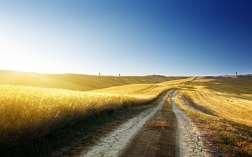 brown field and rough road under blue sky, road, wheat, summer, the sky, grass, freedom, the sun, light, trees, traces, nature, blue, heat, tree, hills, landscapes, shadow, morning, horizon, shadows, track, widescreen Wallpaper, spaces, hd Wallpapers, beautiful places, widescreen wallpapers, beautiful Wallpapers, HD wallpaper HD wallpaper
