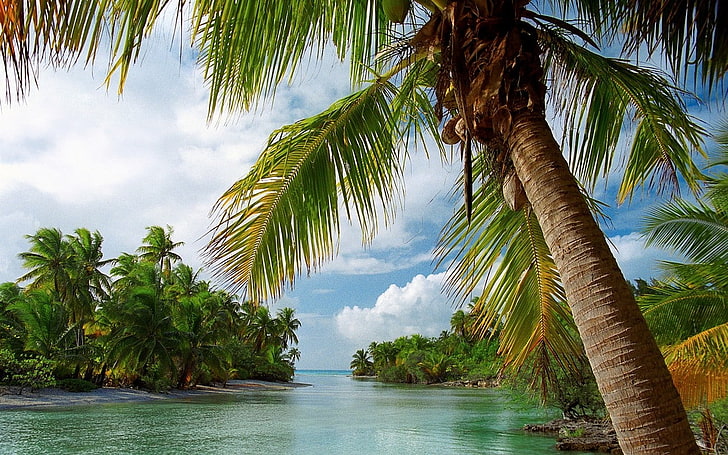 nature, landscape, island, beach, palm trees, tropical, sea, summer, clouds, HD wallpaper