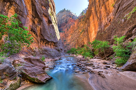 ağaçlar, nehir, taşlar, kayalar, kanyon, geçit, Zion National Park, ABD, Utah, HD masaüstü duvar kağıdı HD wallpaper