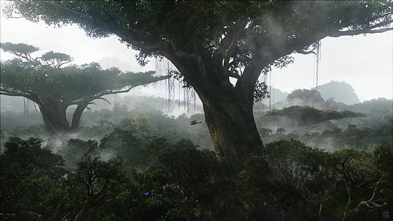 albero del sangue di drago, Avatar, legno, natura, Pandora, alberi, film, fantascienza, Sfondo HD HD wallpaper