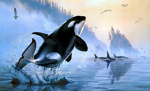 Animal, Orca, Artistic, Painting, Sea Life, Tapety HD HD wallpaper