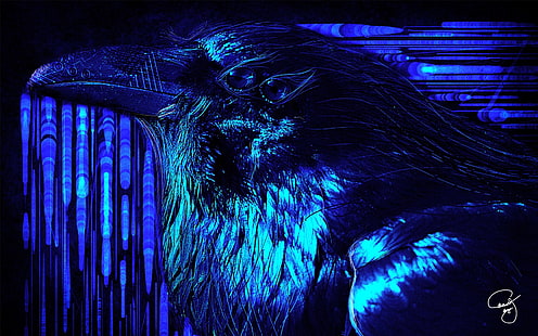 синяя птица, ворон, ворона, психоделический, синий, HD обои HD wallpaper