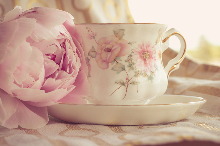 white and pink floral ceramic cup and saucer, flower, style, Bud, mug, Cup, peony, HD wallpaper