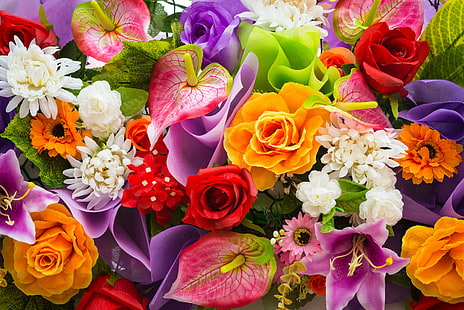 Anthurium Flores, flores, rosas, anturios, lirios, gerberas, crisantemos, Fondo de pantalla HD HD wallpaper