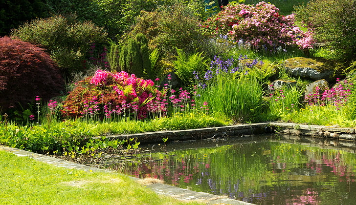 verts, fleurs, étang, jardin, Royaume-Uni, coloré, les buissons, les jardins de Mount Pleasant, Fond d'écran HD