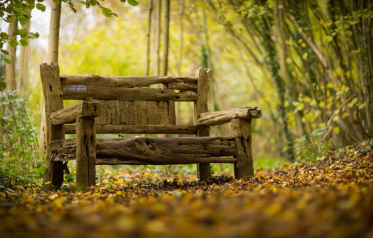 الخريف ، الخلفية ، مقاعد البدلاء، خلفية HD
