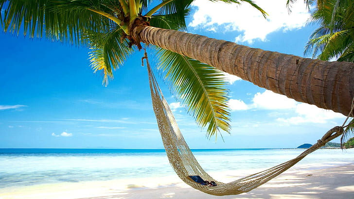 Pantai, pohon kelapa, tempat tidur gantung, pemandangan langit laut biru, pantai, pohon kelapa, tempat tidur gantung, pemandangan langit laut biru, Wallpaper HD