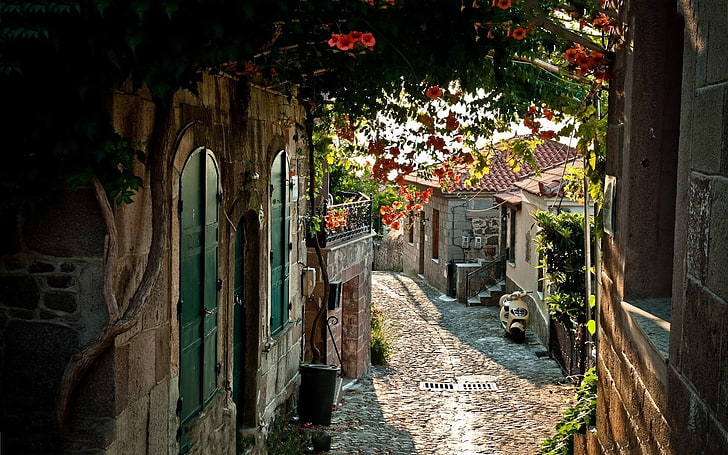 طريق الحجر الرمادي ، الشارع ، إيطاليا ، الزهور، خلفية HD