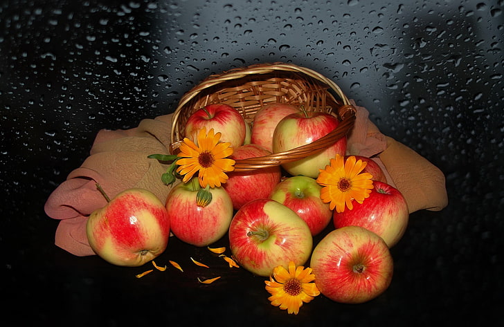blommor, natur, humör, äpplen, skönhet, korg, vacker, harmoni, bakgrundsbilder, vildblommor, cool, bukett, trevligt, elegant, bröllop, delikat, brud, författarens foto av Elena Anikina, HD tapet
