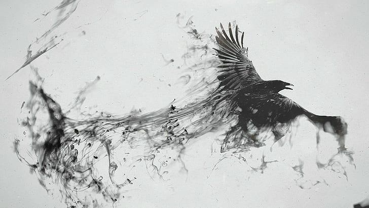 Crow, ink, HD wallpaper