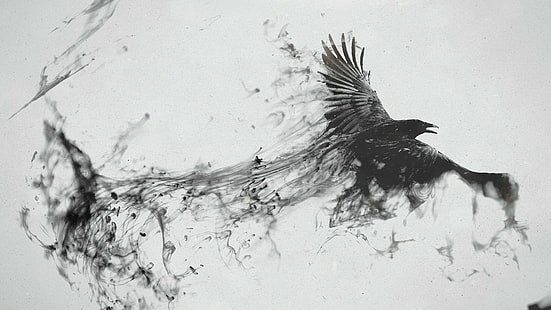 Crow, ink, HD wallpaper HD wallpaper