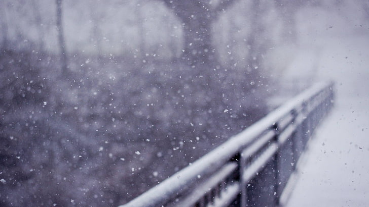 barandillas de acero gris, barandillas de metal negro, nieve, profundidad de campo, bokeh, monocromo, nevando, puente, Fondo de pantalla HD