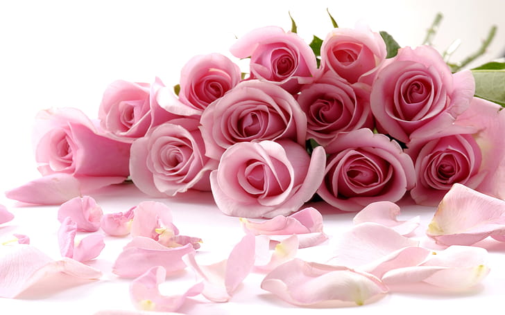 Romântico buquê de rosas cor de rosa, romântico, buquê, rosa, rosa, HD papel de parede