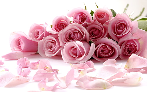 로맨틱, 핑크 장미 꽃다발, 로맨틱, 꽃다발, 핑크, 로즈, HD 배경 화면 HD wallpaper