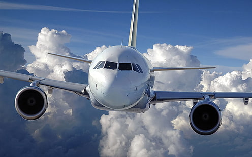 白い旅客機、ボーイング、737、航空機、飛行機、ボーイング737NG、 HDデスクトップの壁紙 HD wallpaper