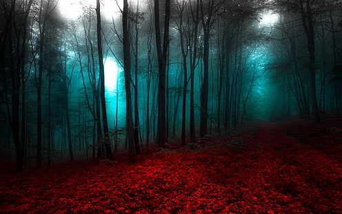 paisaje de bosque, naturaleza, paisaje, rojo, azul, bosque, niebla, árboles, camino, Fondo de pantalla HD HD wallpaper