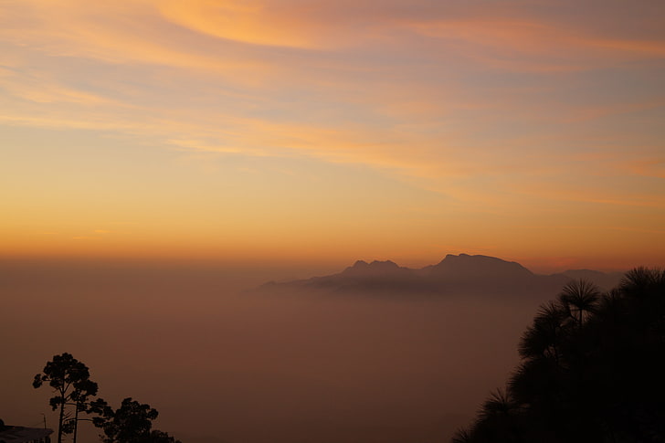 paz, naturaleza, paisaje, niebla, amanecer, silueta, Fondo de pantalla HD