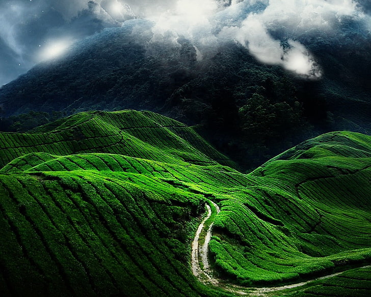 поле зеленой травы, дорога, поля, облака, склоны, зелень, HD обои
