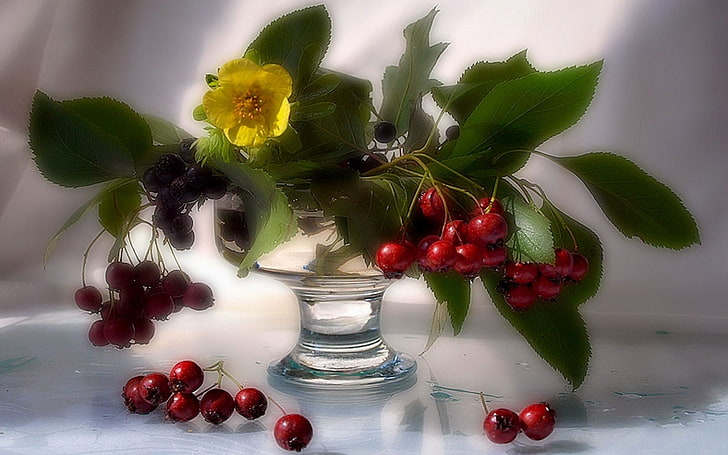 красная вишня, цветы, веточки, ягоды, рябина, зелень, пиала, HD обои