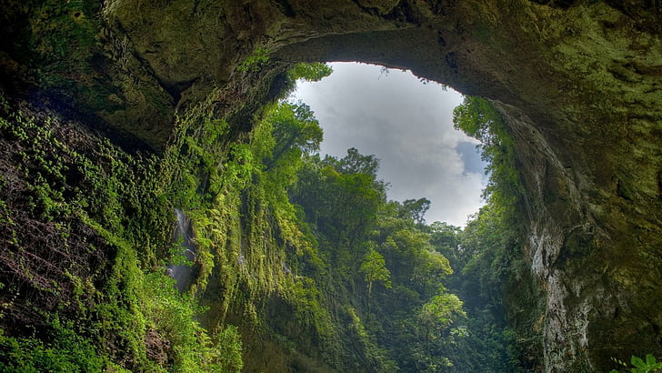арка, растителност, природен резерват, пещера, Пуерто Рико, дере, скала, тропическа гора, джунгла, небе, скала, гора, HD тапет