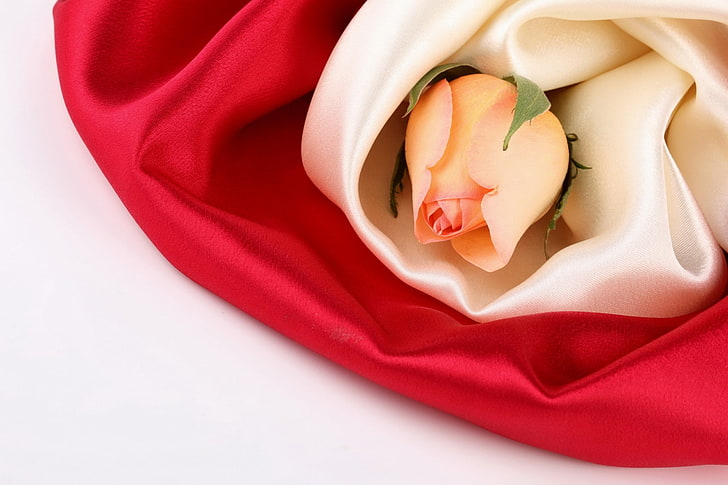 beige rose, rose, flower, fabric, silk, HD wallpaper