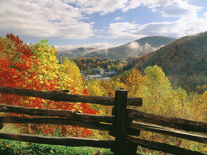 коричневый деревянный забор, забор, бревна, осень, деревья, цвета, HD обои