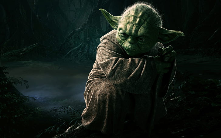 Mestre Jedi Yoda, jedi, mestre, yoda, HD papel de parede