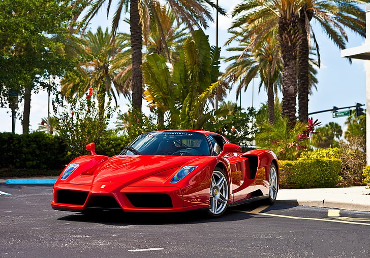 rojo Ferrari Enzo coupe, ferrari, enzo, rojo, Fondo de pantalla HD