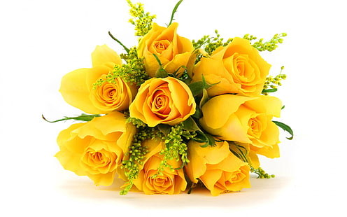 bunch, flowers, roses, yellow, HD wallpaper HD wallpaper