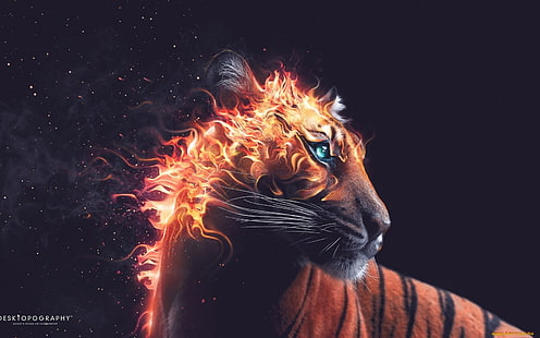 火の壁紙、虎、動物、デジタルアート、火と茶色と黒の虎、 HDデスクトップの壁紙 HD wallpaper