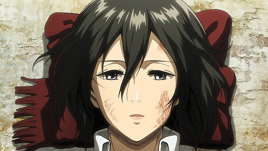 Anime, Ataque a los titanes, Mikasa Ackerman, Fondo de pantalla HD HD wallpaper