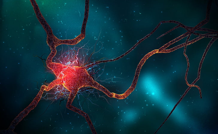 Neuron, czerwona i czarna komórka nerwowa, Artystyczna, 3D, Neuron, Tapety HD