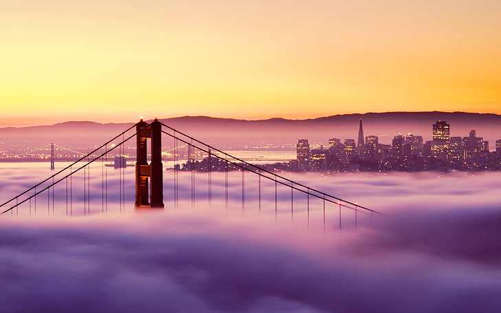 Golden Gate Bridge, San Francisco, sunset, bridge, san francisco, fog lights, buildings, HD wallpaper