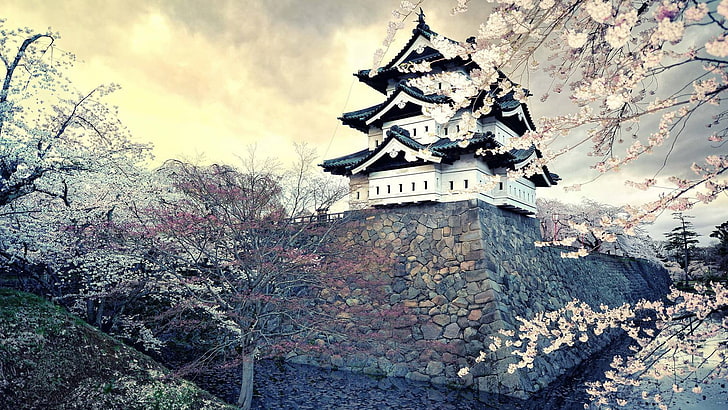 черно-белая деревянная пагода, япония, замок, азиатская архитектура, вода, цветы, HD обои