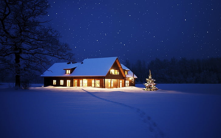 Cabin, nature, night, snow, winter, HD wallpaper