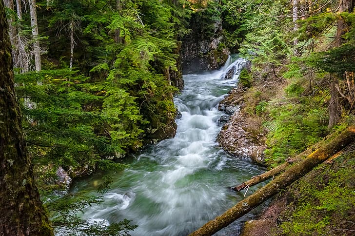 hutan, sungai, Washington, Negara Bagian Washington, Denny Creek, Wallpaper HD