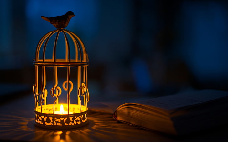 brown dome metal candle holder, birds, animals, candles, cages, books, HD wallpaper