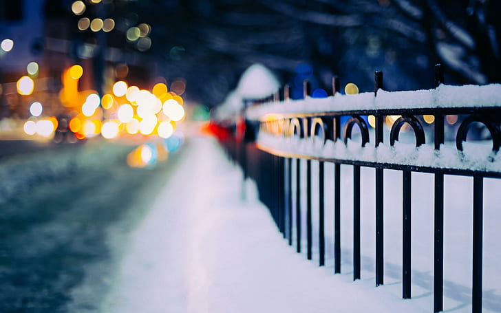 Fence Winter City Night, fence, winter, city, night, HD wallpaper
