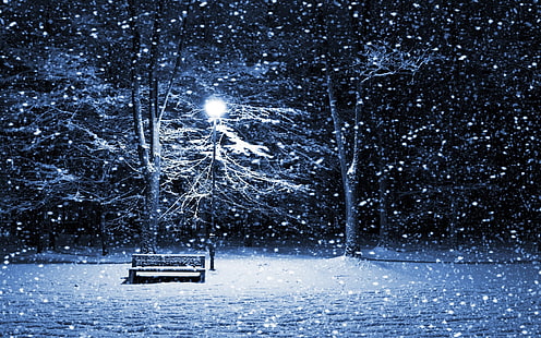 brązowa drewniana ławka, zima, śnieg, ławka, drzewa, latarnia, noc, park, Tapety HD HD wallpaper