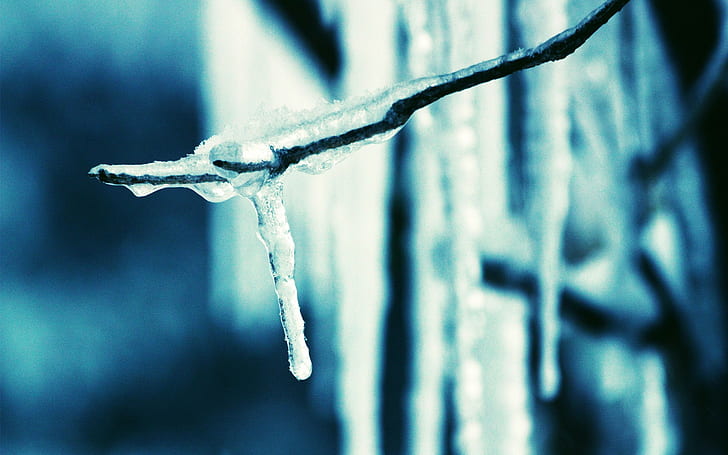 blue, branch, Ice, icicle, HD wallpaper