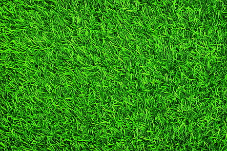 зеленая газонная трава, трава, фон, газон, зелень, лето, HD обои HD wallpaper