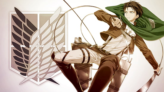 Shingeki no Kyojin, Levi Ackerman, Anime Girls, Anime, HD-Hintergrundbild HD wallpaper