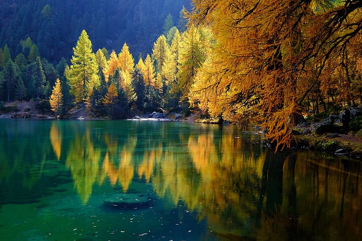 autumn, forest, trees, lake, reflection, HD wallpaper