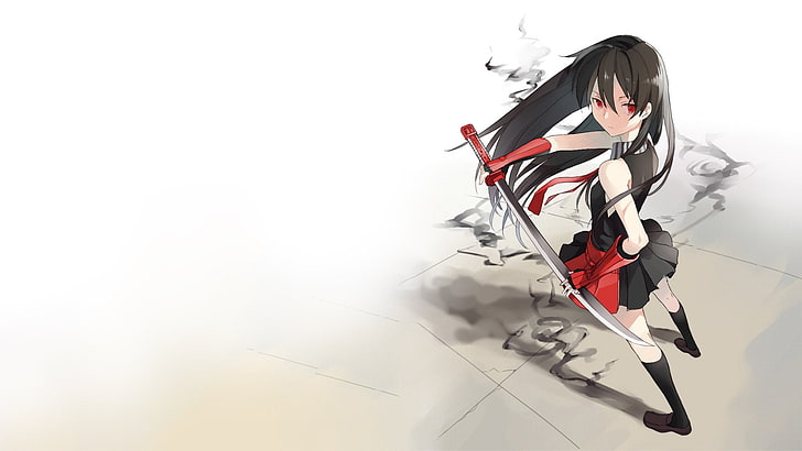 black-haired female anime character with sword illustration, Anime, Akame ga Kill!, Akame (Akame Ga Kill!), HD wallpaper