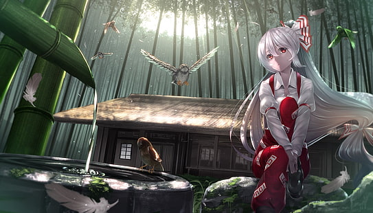 Anime Mädchen, Anime, Touhou, Fujiwara no Mokou, HD-Hintergrundbild HD wallpaper