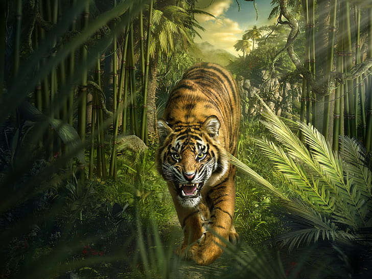 Тигр Джунгли Бамбук HD, животные, тигр, джунгли, бамбук, HD обои